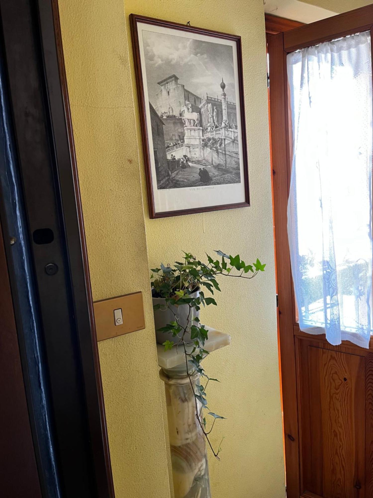 Apartment Domvs Dr *